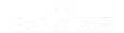 �޳�AI�Ż�